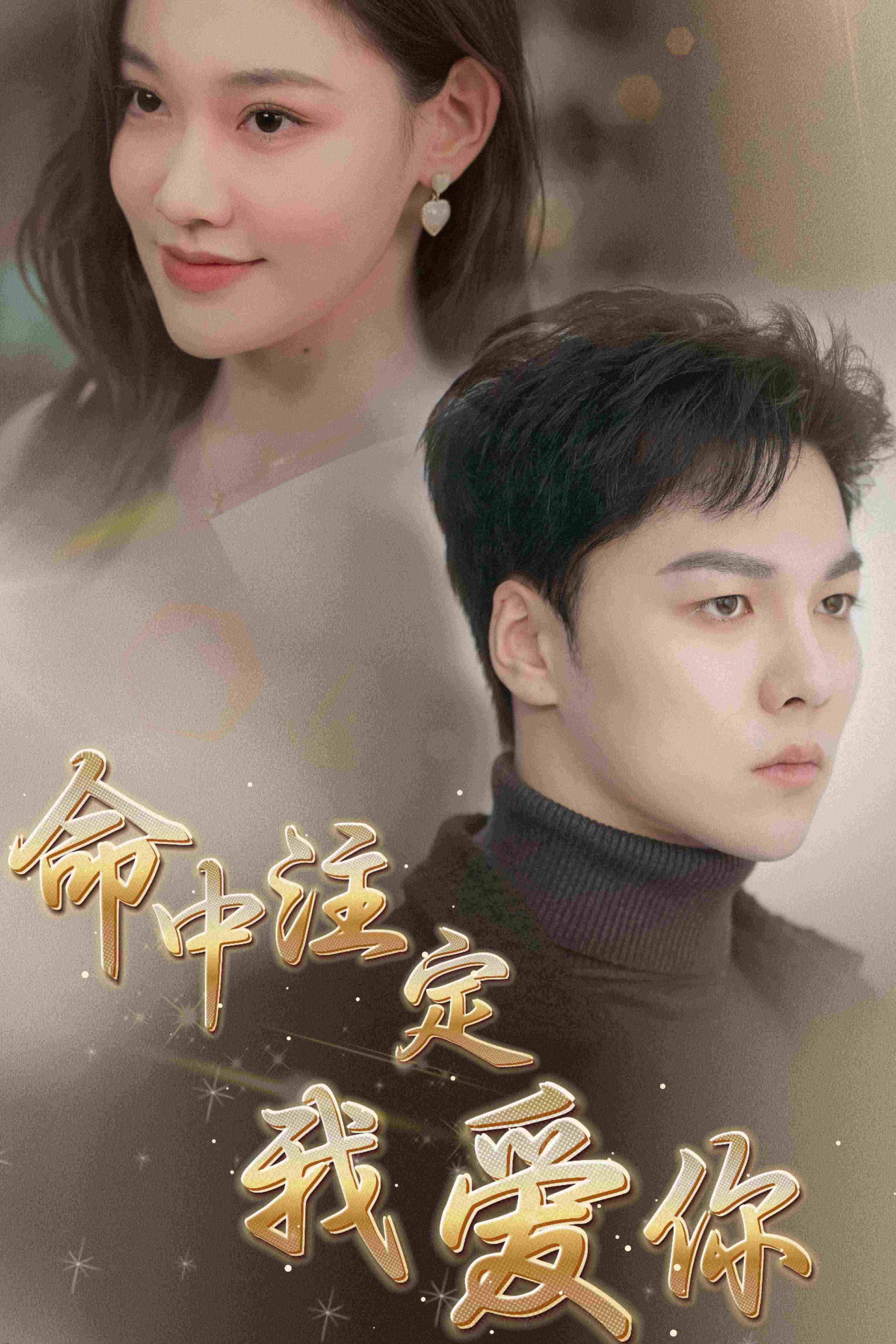 命中注定我爱你 短剧版 海报