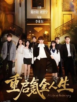 重启氪金人生 海报