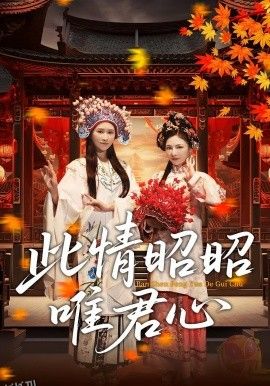 此情昭昭唯君心 海报