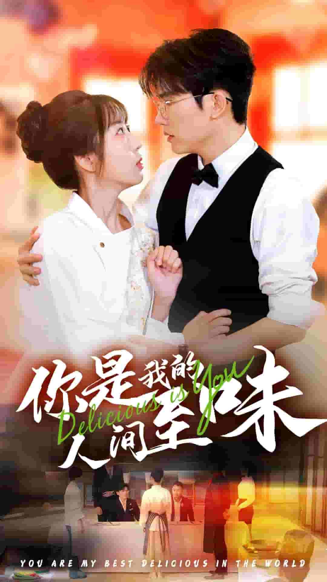 你是我的人间至味 短剧版 海报