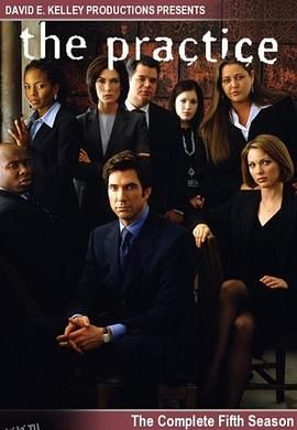 律师本色第五季 海报