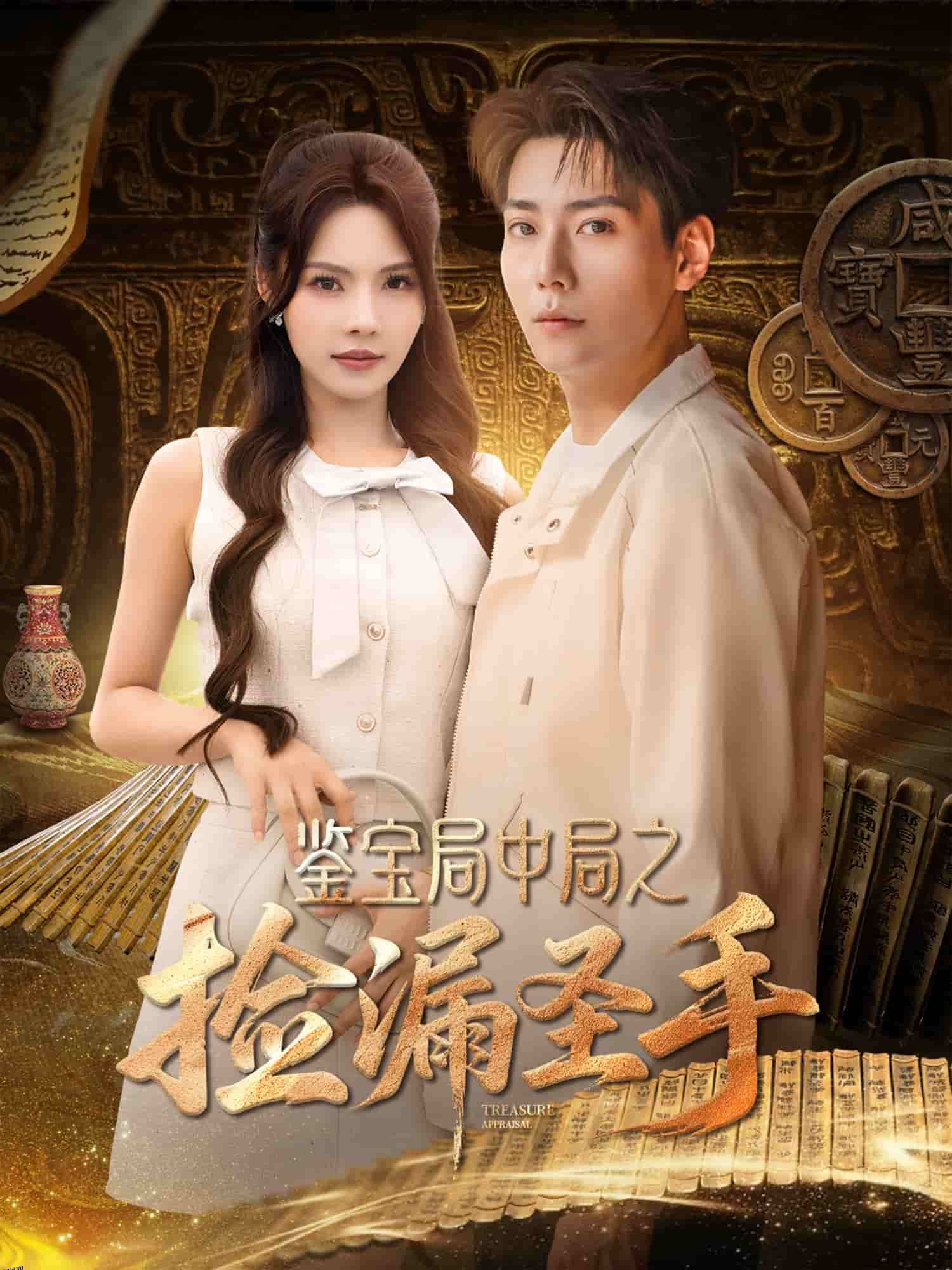 鉴宝局中局之捡漏圣手 海报