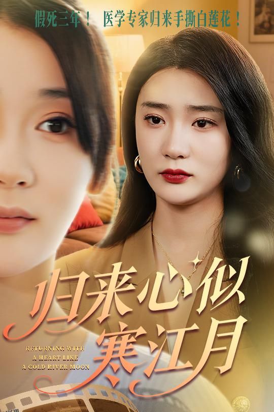 归来心似寒江月 海报