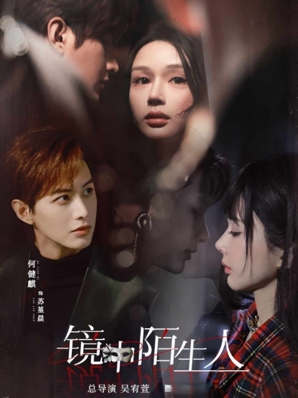 镜中陌生人 海报