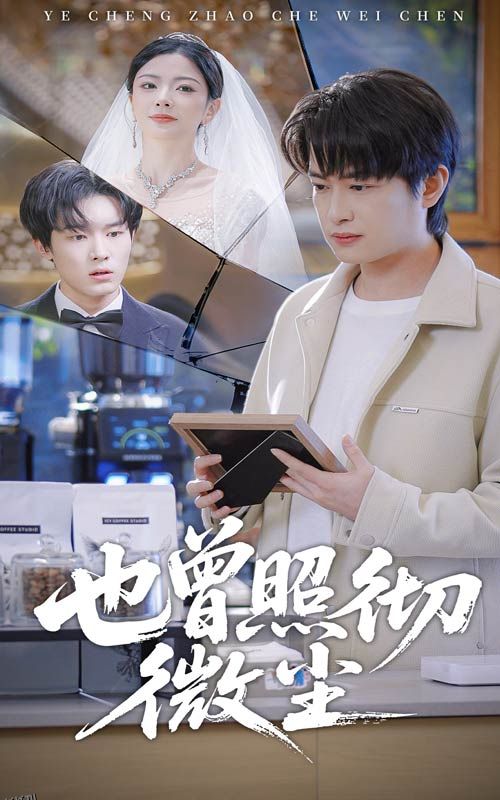 也曾照彻微尘 海报