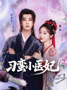 刁蛮小医妃 海报