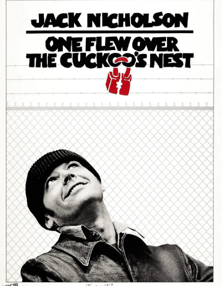 飞越网戒所 海报