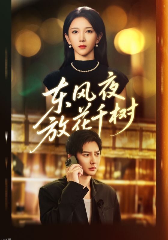 东风夜放花千树 海报