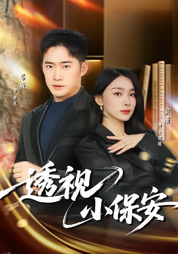 透视小保安 海报