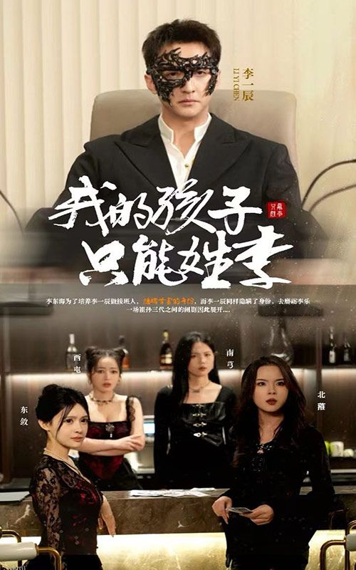 我的孩子只能姓李 海报