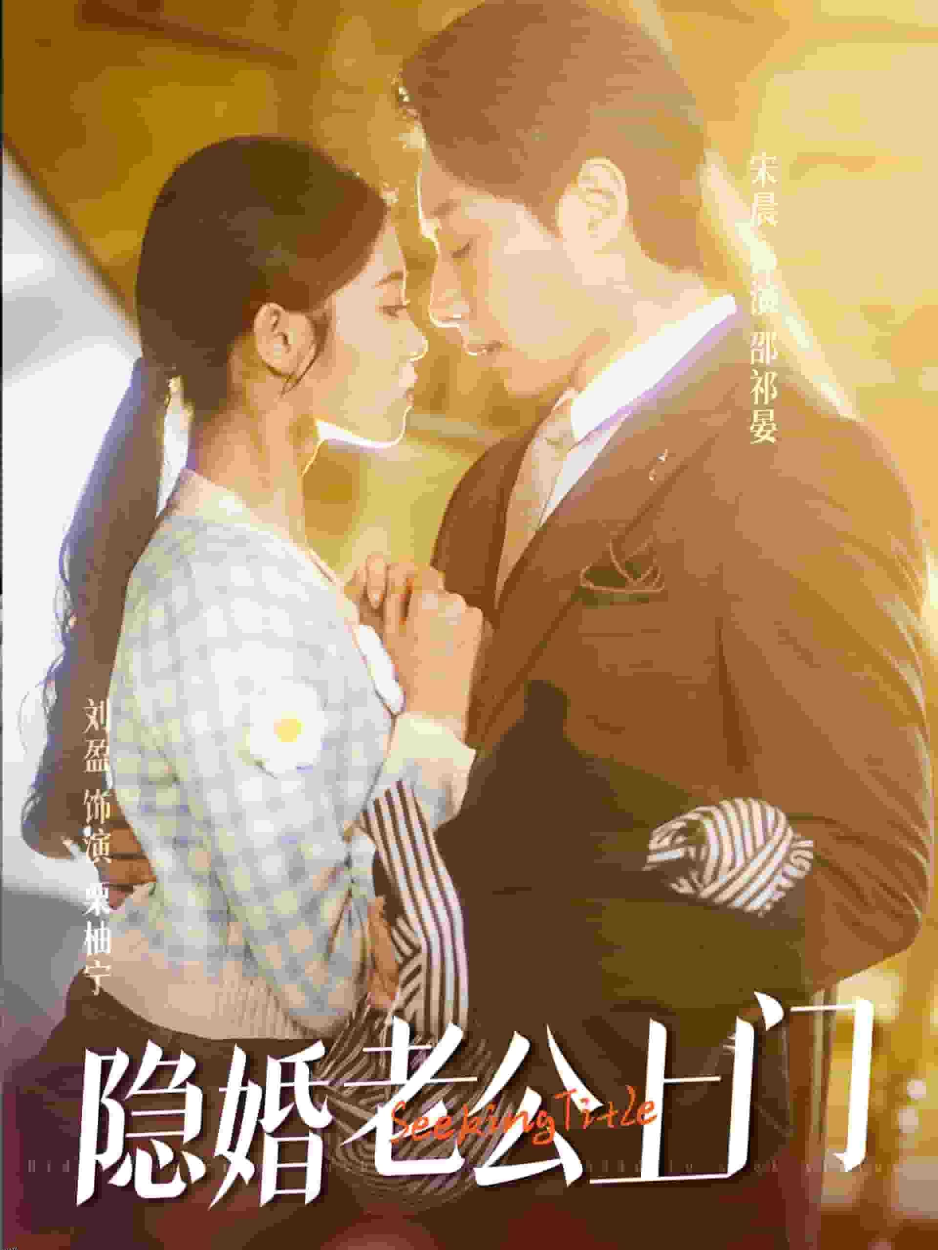 隐婚老公带娃上门 海报