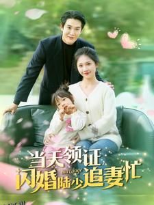 当天领证闪婚陆少追妻忙 高清海报