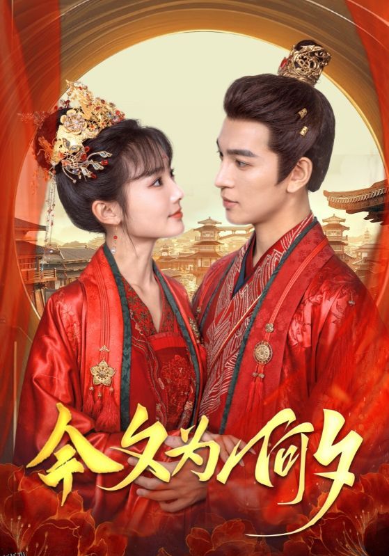 今夕为何夕 海报