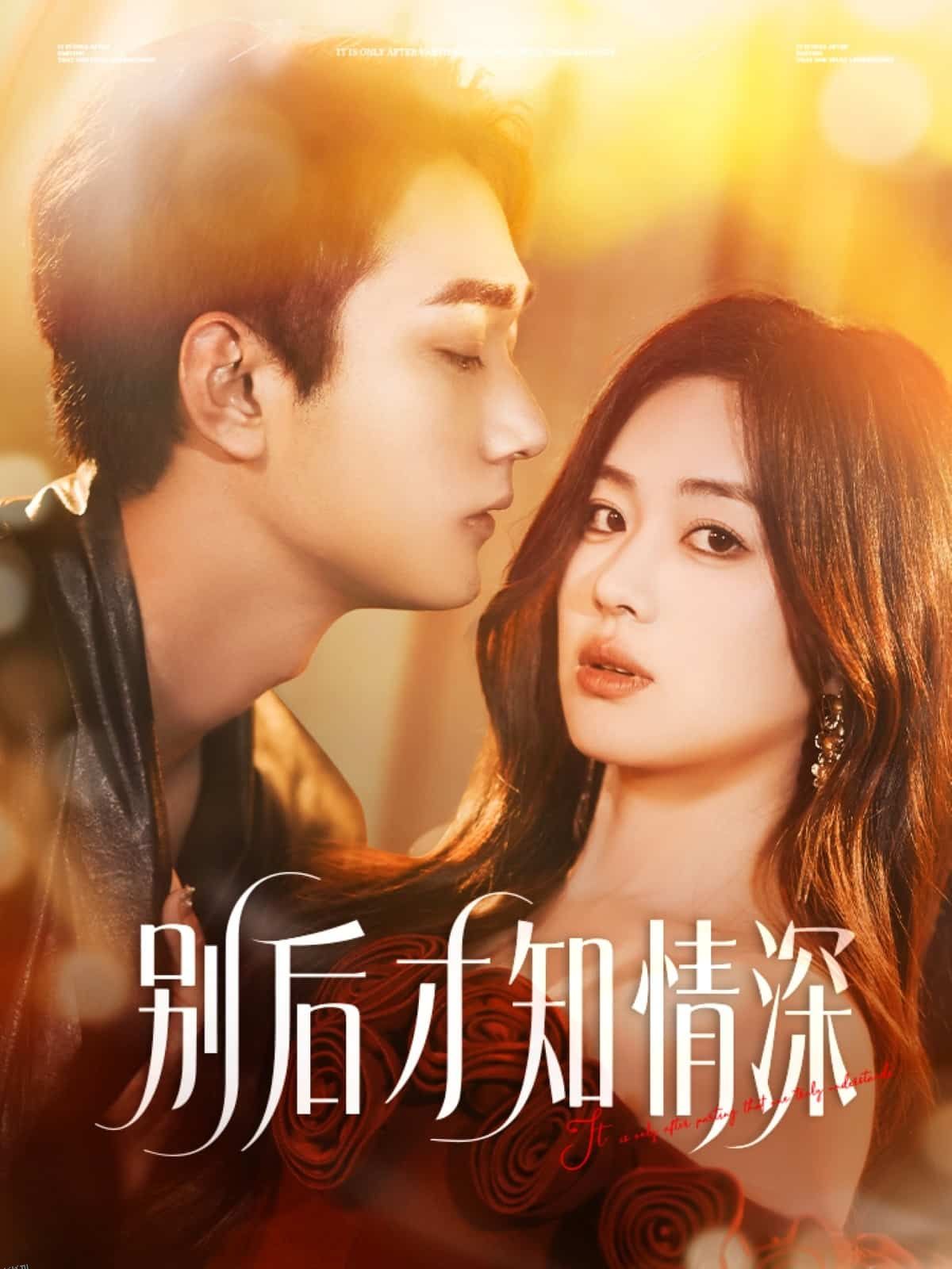 别后才知情深 海报