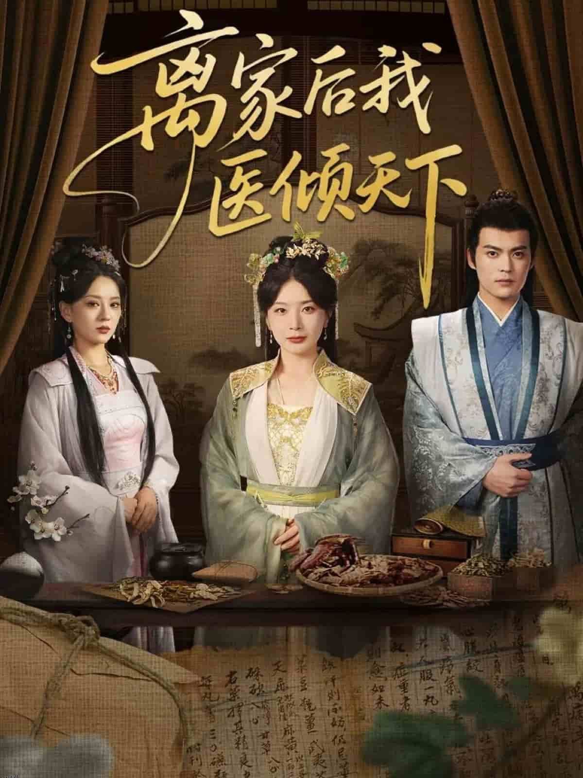 离家后我医倾天下 海报