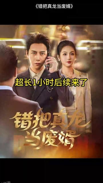 错把真龙当赘婿 海报