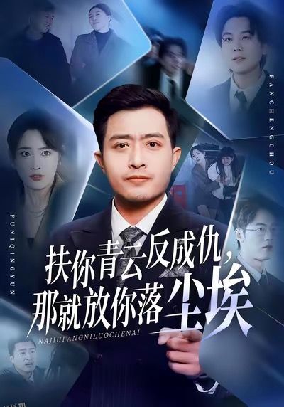 扶你青云反成仇，那就放你落尘埃 海报