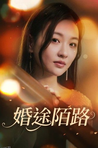 婚途陌路 海报