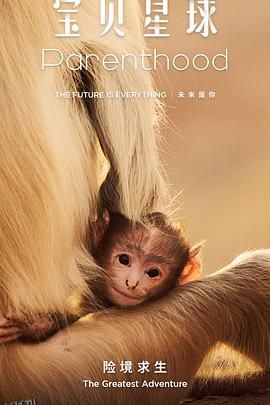 宝贝星球国语 海报