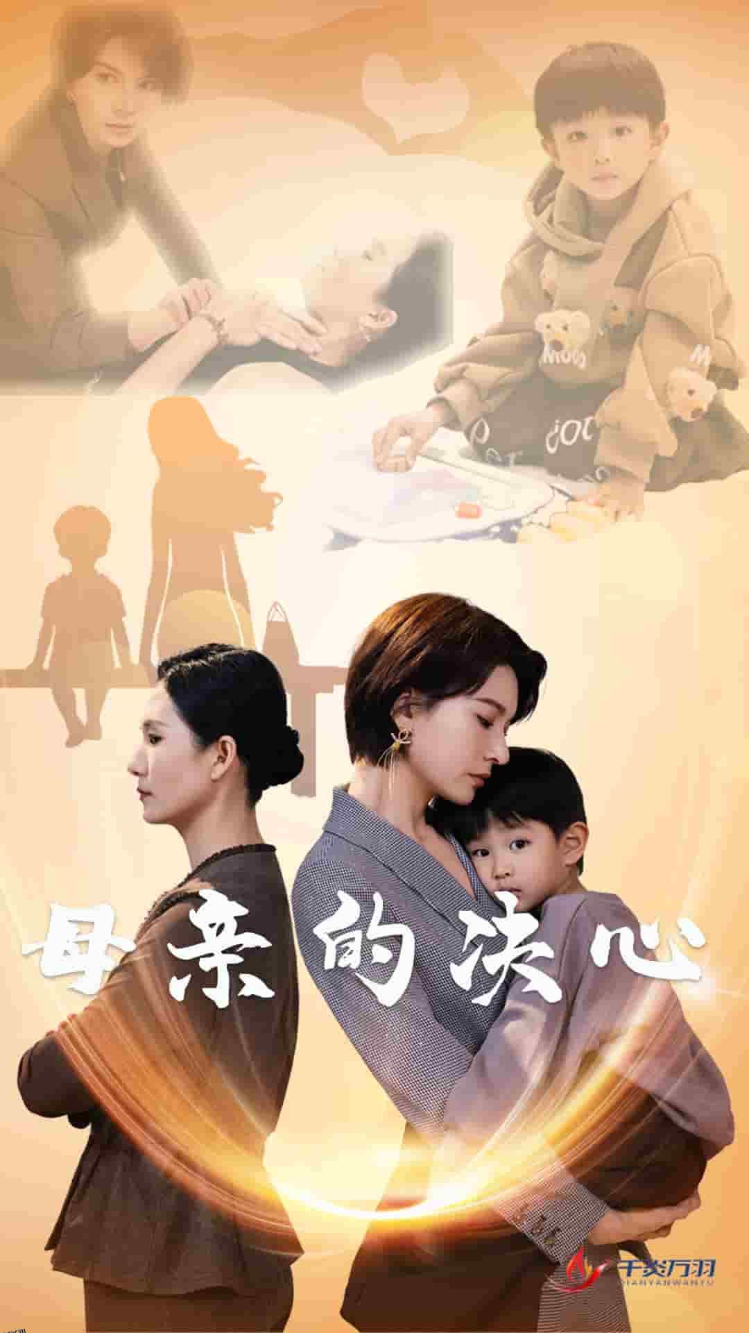 母亲的决心 海报