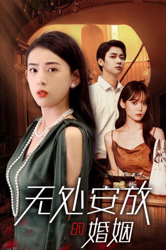 无处安放的婚姻 海报