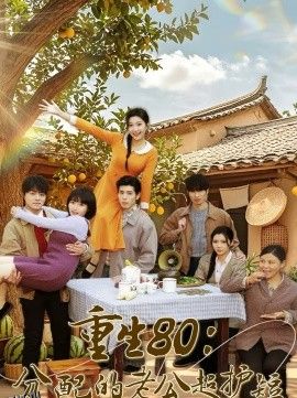 重生80：分配的老公超护短 海报