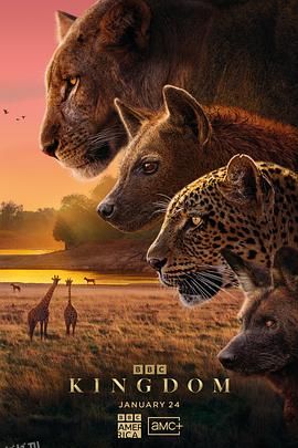 动物王国2025 海报