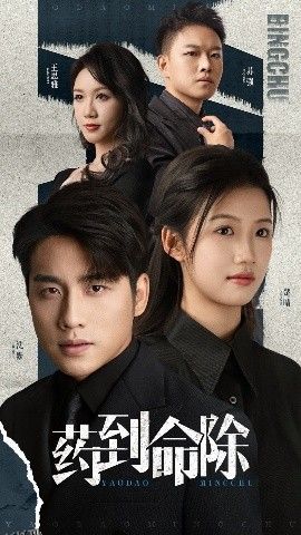 药到命除 海报