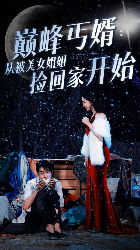 巅峰丐婿：从被美女姐姐捡回家开始 海报