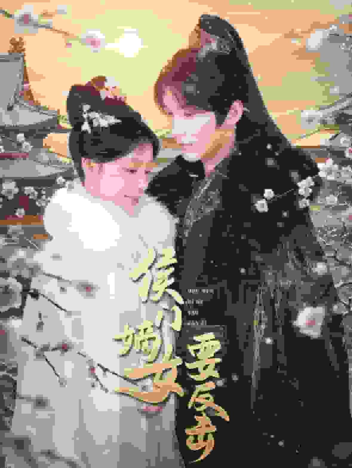 侯门嫡女要反击 高清海报