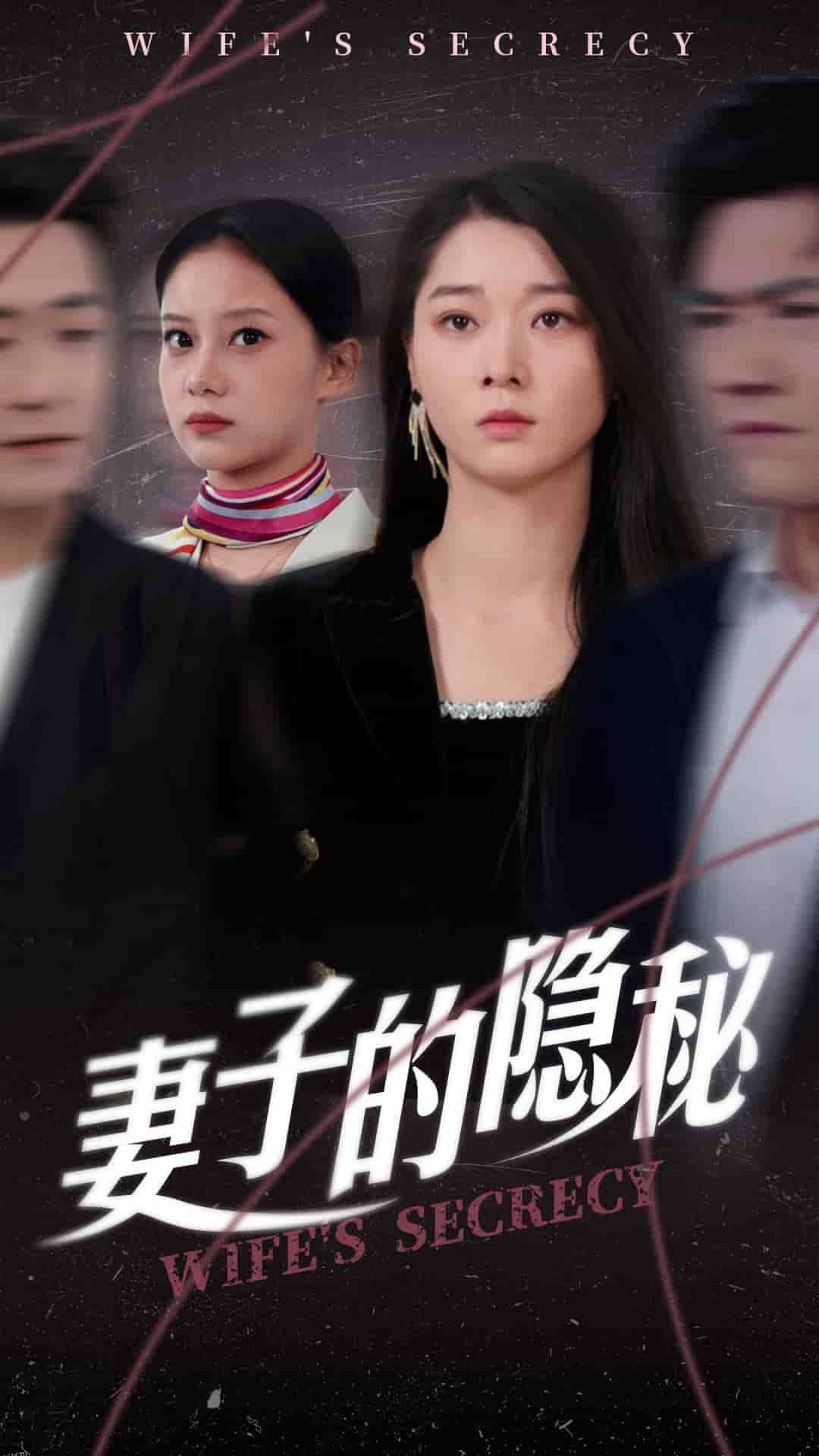 妻子的隐秘 海报