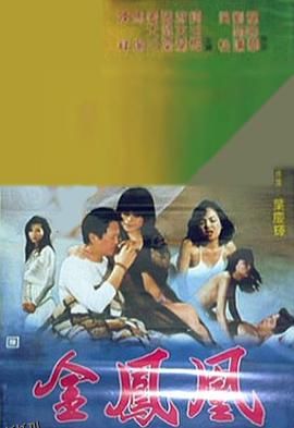 金凤凰1988 海报