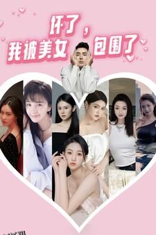 坏了，我被美女包围了 海报