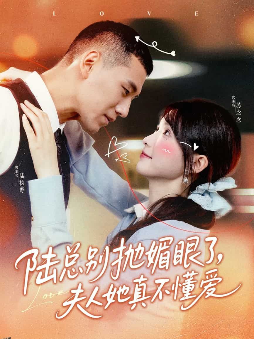 陆总别抛媚眼了夫人她真不懂爱 海报