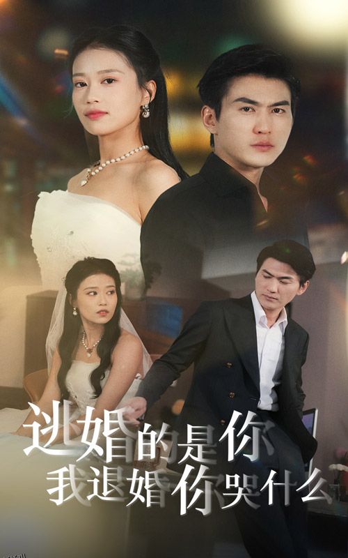 逃婚的是你我退婚你哭什么 海报