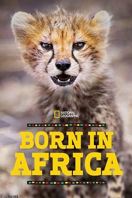 非洲原野育成记 海报