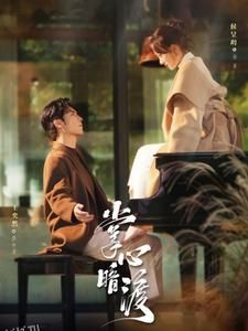 掌心暗渡 高清海报