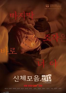 身体集合.zip[电影解说] 海报