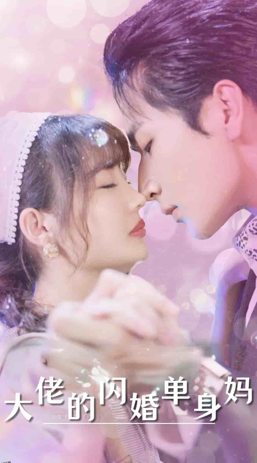 大佬的闪婚单身妈 海报