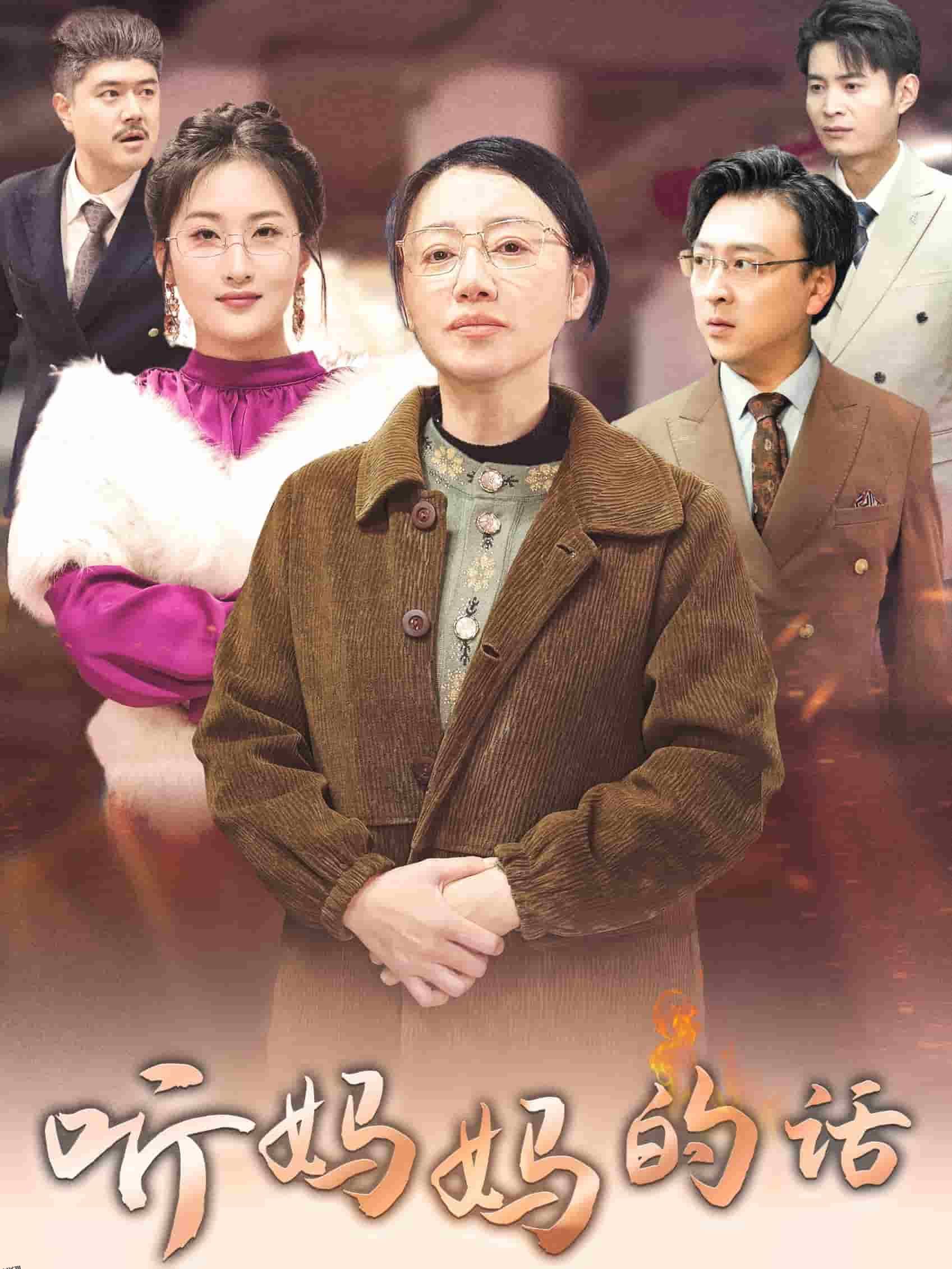 莫要欺负老实人 海报