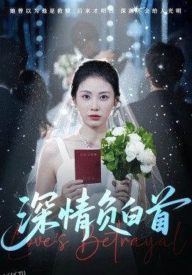 深情负白首 海报