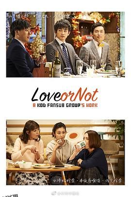 Love or Not 海报