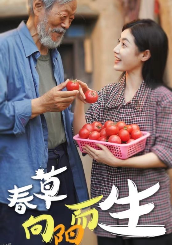 春草向阳而生 海报