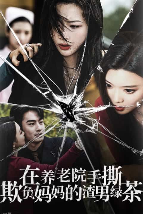 在养老院手撕欺负妈妈的渣男绿茶 海报