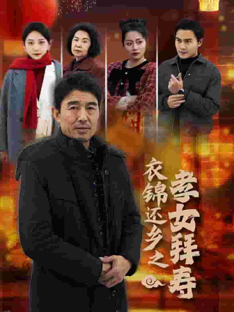 衣锦还乡之孝女拜寿 海报