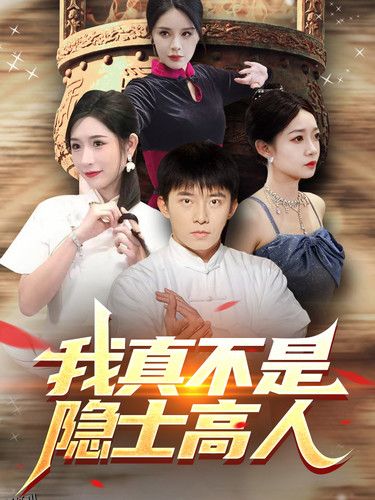 我真不是隐士高人 海报