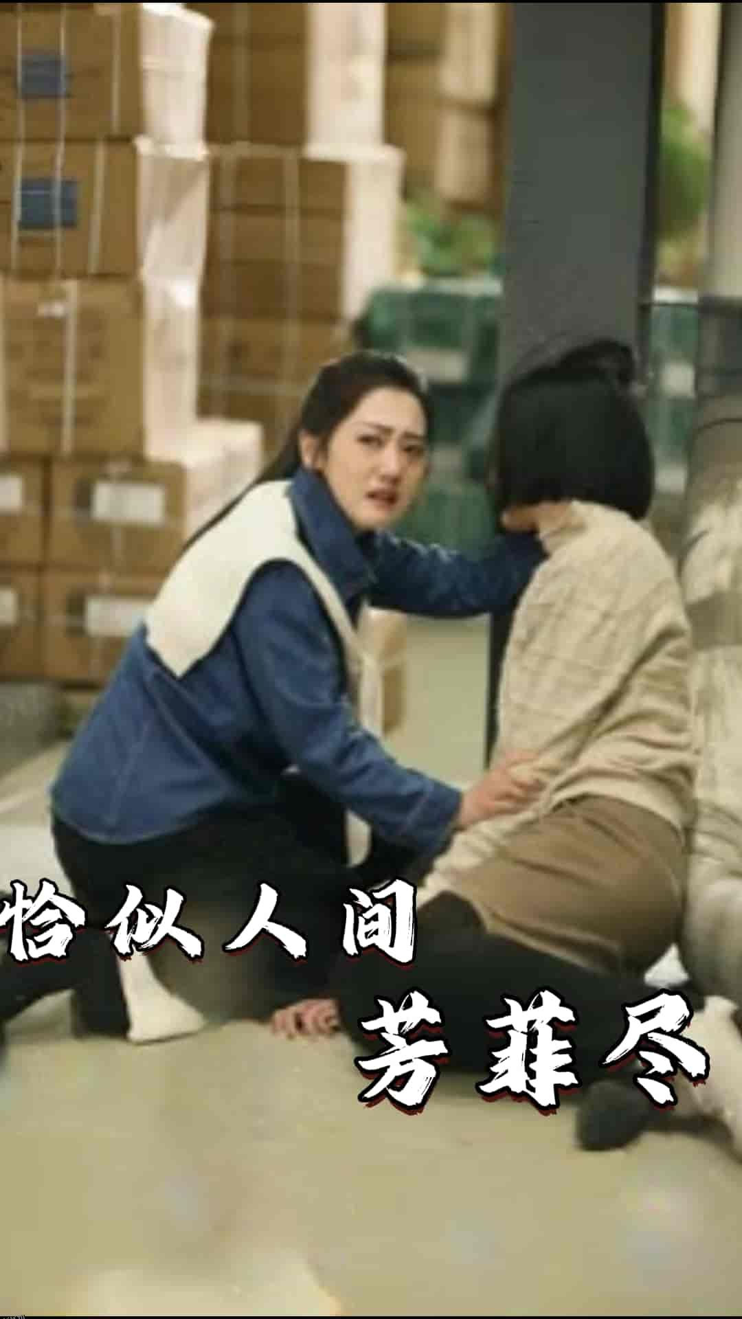 恰似人间芳菲尽 海报