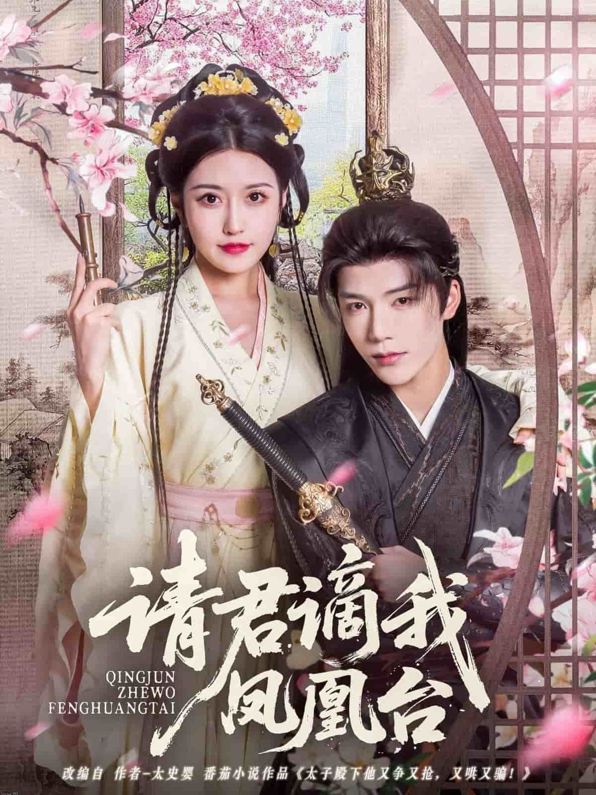 请君谪我凤凰台 海报