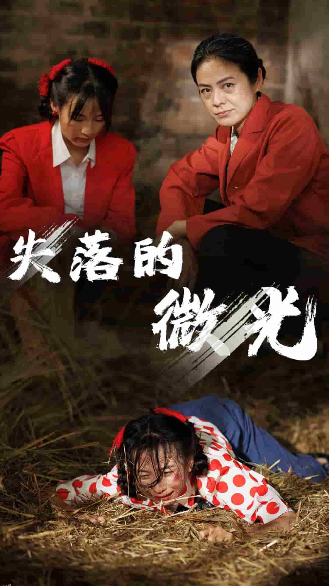 失落的微光 海报