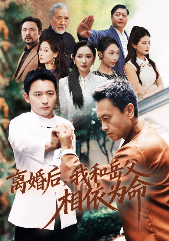 离婚后我和岳父相依为命 海报